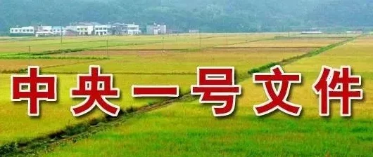 拨萝卜做钢筋：传统农业与现代建筑的结合，探讨农村发展新路径