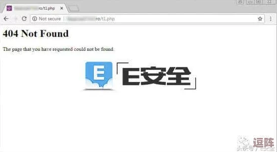 404禁止软件入口：黑客的迷宫，你能破解这道神秘之门吗？