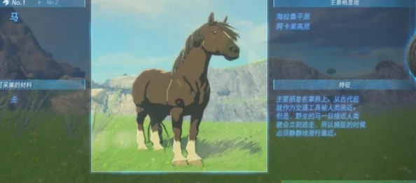 征服阿卡莱之巅：解锁塞尔达传说中最强武器迷你挑战全攻略