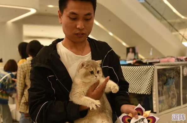 猫咪社区的永久地域网名是什么?探讨其背后的文化意义与社群归属感的重要性 猫咪社区的永久地域网名是什么?探讨其背后的文化意义与社群归属感的重要性