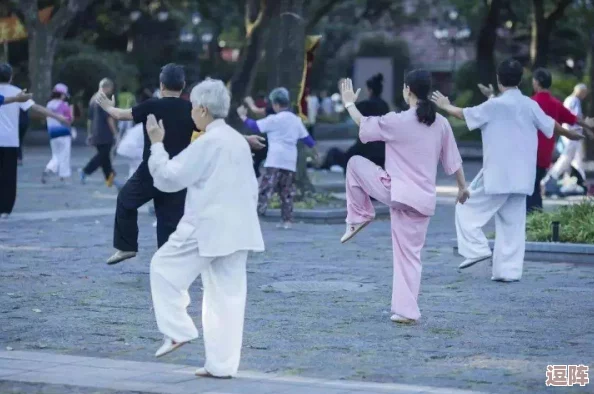 公园里的老年镖客视频大全:展现了银发族的活力与智慧,打破了年龄的界限,让人感受到生活的无限可能 公园里的老年镖客视频大全:展现了银发族的活力与智慧,打破了年龄的界限,让人感受到生活的无限可能