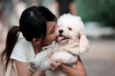 小狗爬过来叫主人，网友曝光背后真相惊呆众人