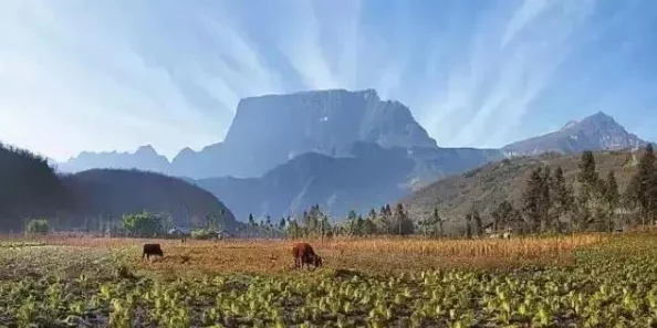 方舟生存进化:单人探险家该选择哪个地图来挑战自我极限 方舟生存进化:单人探险家该选择哪个地图来挑战自我极限
