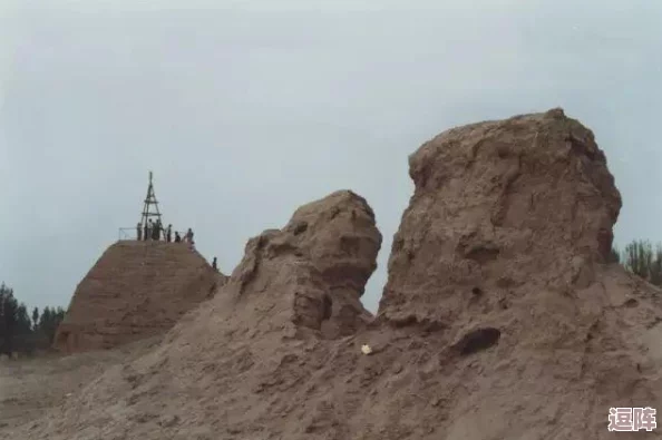 热血江湖中雕与狼的对决:哪个更胜一筹成为你的冒险伙伴? 热血江湖中雕与狼的对决:哪个更胜一筹成为你的冒险伙伴?