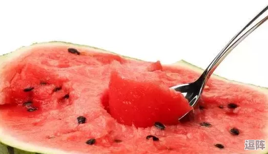 五一吃瓜每日必吃：畅享清爽夏日，推荐五款不可错过的美味西瓜食谱！